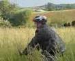waitz im feld 2