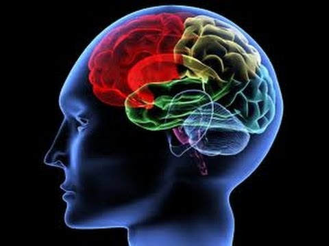 Cerebral
