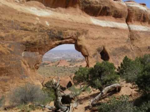 grand national results