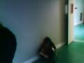 videos de mdc 025