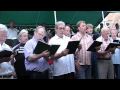 Männerchor-Sally Gardens
