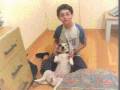 Buddy The Cute Dog MUSIC-Disturbia