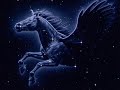 Del unicornio al caballo alado
