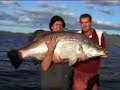 Lake Awoonga Barramundi Fishing