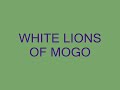 WHITE LIONS OF MOGO