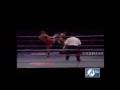 Thai Boxing Award - AVS Video Editor