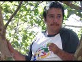 ITSZAPOPAN el danopsito trepando guayabos