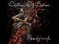 Children of bodom-Blooddrunk- Roadkill morning Children of bodom-Blooddrunk- Roadkill morning