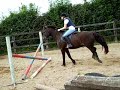 Me on Honey and Mocha (saturday lesson)