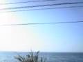 �ؤ��������С��Ρ��դ뤵��:YouTube������=221��