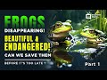 Part 1 Croaking Frogs