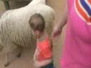 Collin at Zoo Atlanta Petting Zoo