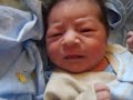 bebito junior