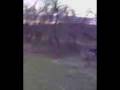 videos de Todd goes shooting1