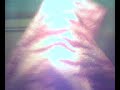 le fant�me des vignes
