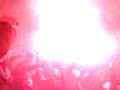 PSG LYON  crackage fumis