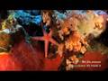 Summer '08 - PART 1 - Dive in the Red Sea - Sharm, Tiran,Ras Mohammed [HDV 1080i50 recorded]