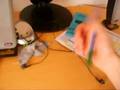 videos de combo