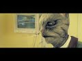 Animal Protection Amsterdam: Veterinarian Animal Protection Amsterdam: Veterinarian