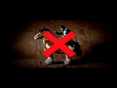 racing post racing post