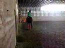 Dressage Casey