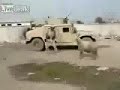خروف عراقي يهزم جندي امريكي