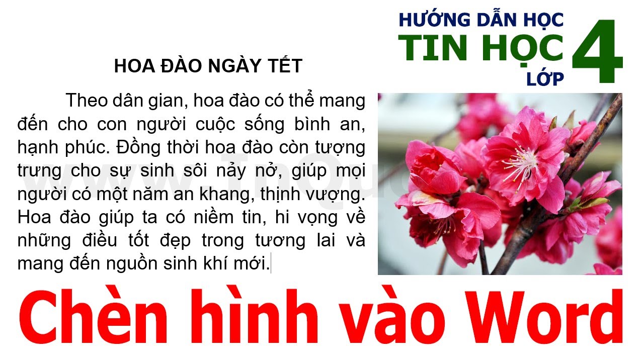 Hướng dẫn chèn hình ảnh vào văn bản trong Word 2019 🌺 Tin Học Lớp 4 🌺 Bài 3 🌺 Chủ đề 3