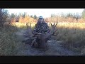 Moose hunting Outfitters, Canada Moose Hunts, Alberta