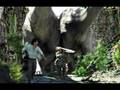  - MovieZen Video