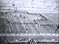 1973 Orange Bowl Halftime