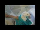 Día de baño con Menchi Día de baño con Menchi