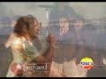 Papillon de Tarapoto - Por que te quiero
