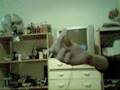 Coin trick revealed 2