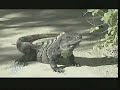 Xel-ha