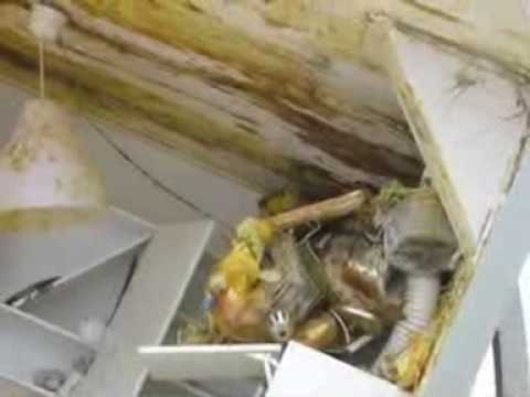 Imagem de Amostra do You Tube
