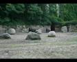 Andreas Martin - dort wo du warst