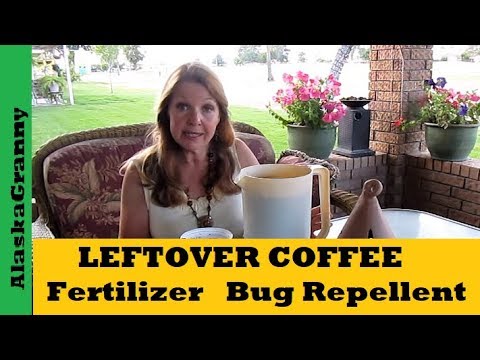 how to fertilize with coffee grounds
