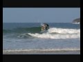 mango the surfing dog of Newquay 0001