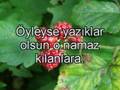 Maun süresi