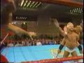 awa tag team match