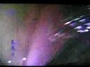 Jonas Brothers performing SOS at DC Games Concert 2008