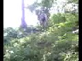 kid on hill