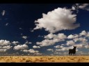 You can´t steal my love by Mando Diao cover You can´t steal my love by Mando Diao cover