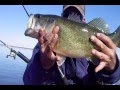 Kayak Bass Fishing