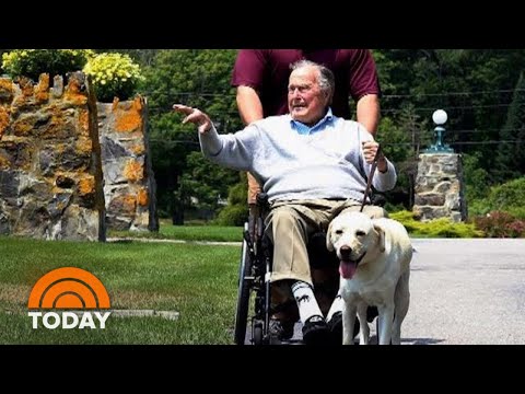Inside George H.W. Bush’s Special Bond With Service Dog Sully | TODAY