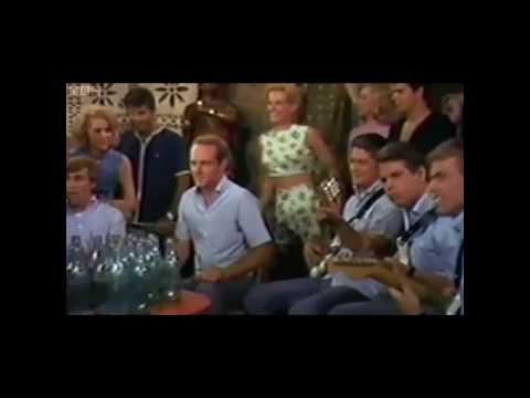 Doc - Dennis Wilson: The Real Beach Boy
