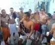 Reggae-Pinto-Duro-Po