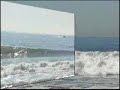 Oceanside Contestn Short