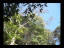 video poda petro.wmv