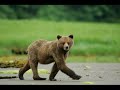Prince Rupert Adventure Tours 2006